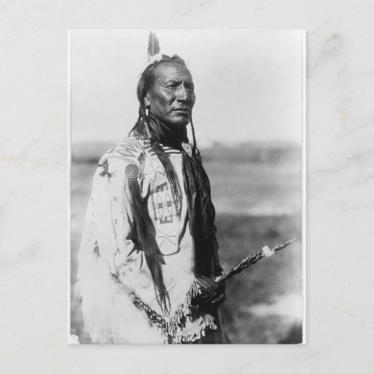 天然アメリカインディアンのヴィンテージのポートレート ポストカード (正面)