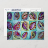 天然シェル3 ポストカード (正面/裏面)