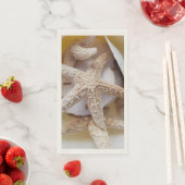 天然ヒトデと砂ドル沿岸 (インサイチュ)