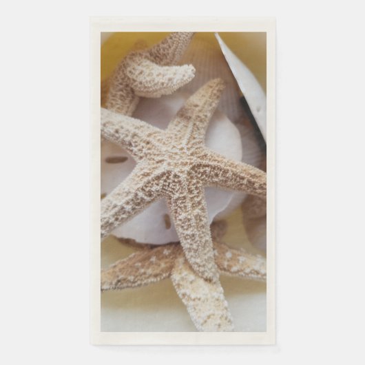 天然ヒトデと砂ドル沿岸 (正面)