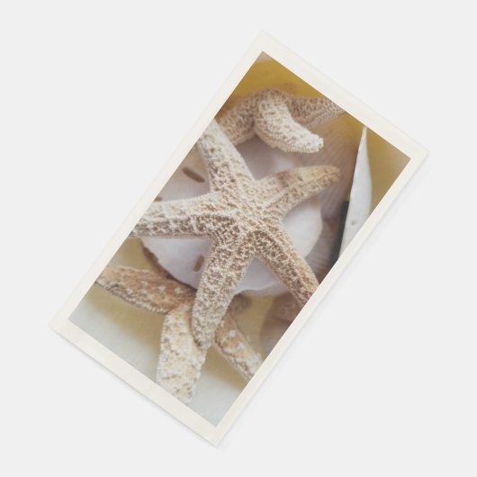 天然ヒトデと砂ドル沿岸 (コーナー)