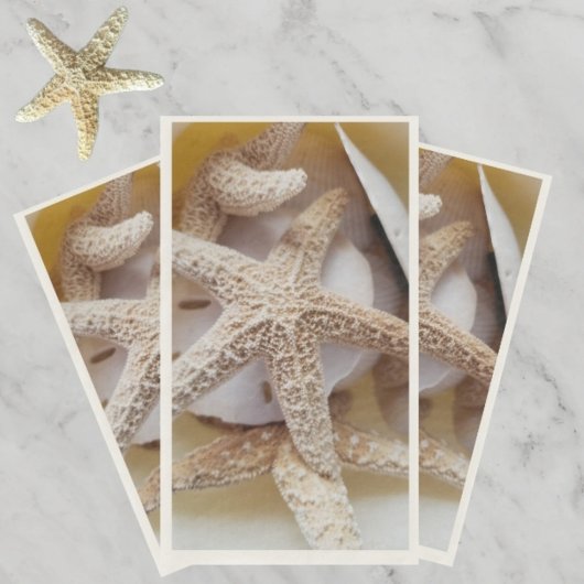 天然ヒトデと砂ドル沿岸