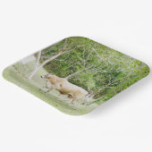 天然ビーガン牛 ペーパープレート (傾斜あり)