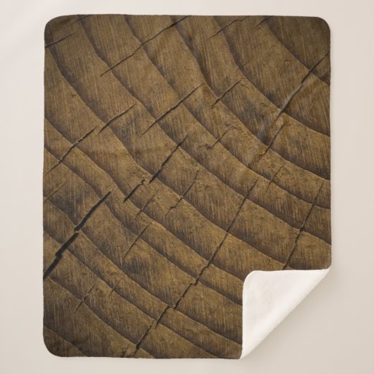  天然松の木の背景。原材料。オルガン シェルパブランケット (正面)