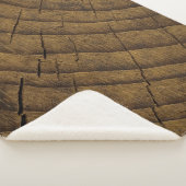  天然松の木の背景。原材料。オルガン シェルパブランケット (3/4)