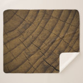  天然松の木の背景。原材料。オルガン シェルパブランケット (正面(横))