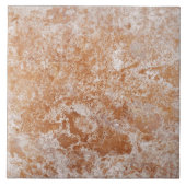 天然石模様 タイル (正面)