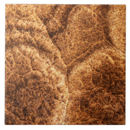 天然石模様 タイル