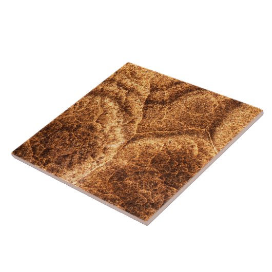 天然石模様 タイル (側面)