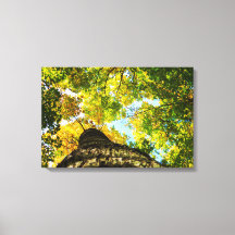 天然緑と黄色の木