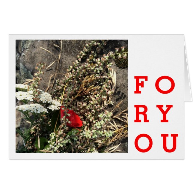 天然花 (正面横)