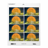 天照天照日照黄緑 ラベル (フルシート)