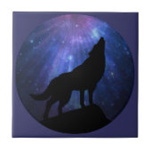 天狼 タイル (正面)