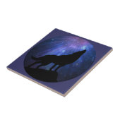 天狼 タイル (側面)