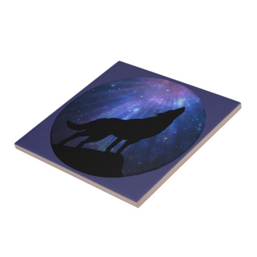 天狼 タイル (側面)