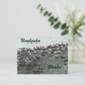 天皇陛下オンビーチ ポストカード (スタンド正面)