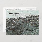 天皇陛下オンビーチ ポストカード (正面/裏面)