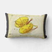 天秤座はかりで測ヴィンテージ座ウラニア鏡 ランバークッション (裏面)