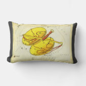 天秤座はかりで測ヴィンテージ座ウラニア鏡 ランバークッション (正面)