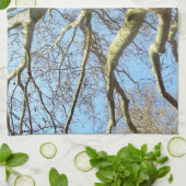 天空に広がる晴れた大きな木の枝 キッチンタオル (折り畳み)