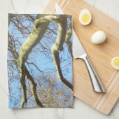 天空に広がる晴れた大きな木の枝 キッチンタオル (四つ折り)