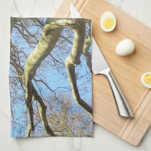 天空に広がる晴れた大きな木の枝 キッチンタオル (四つ折り)