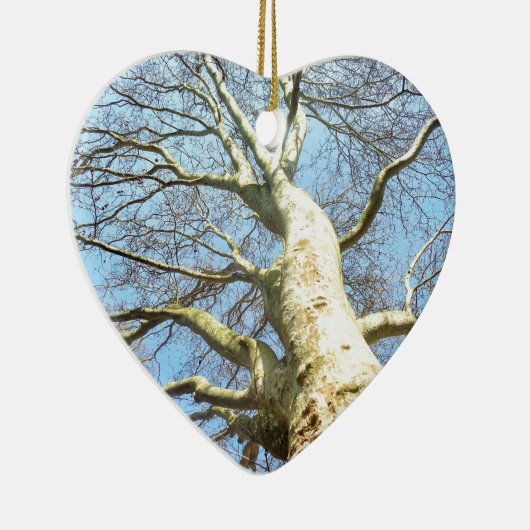天空に広がる晴れた大きな木の枝 セラミックオーナメント (右)