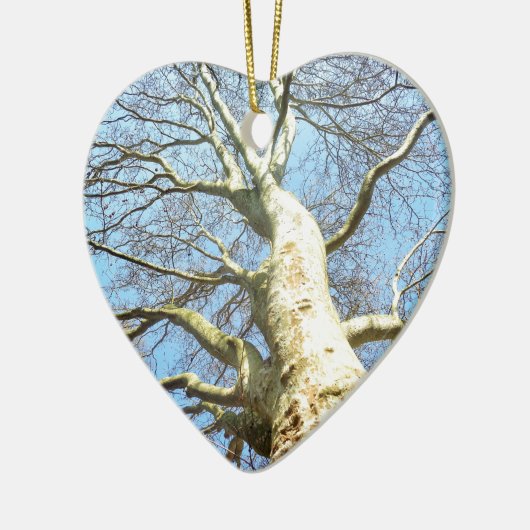 天空に広がる晴れた大きな木の枝 セラミックオーナメント (左)