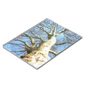 天空に広がる晴れた大きな木の枝 ノートブック (左側)