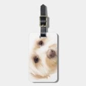 天空の子犬 ラゲッジタグ (正面縦)