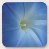 天空の青い朝顔の花の写真 コースター (正面)