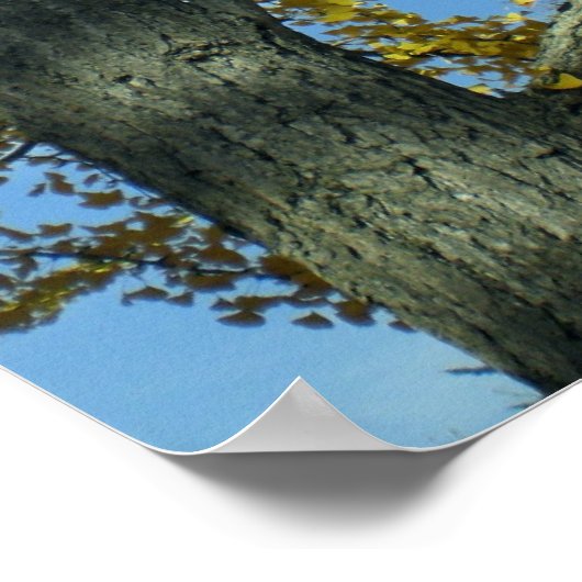 天童の銀杏 ポスター (角)