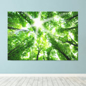 天蓋を通る日光 キャンバスプリント (インサイチュ (ウッドフロア))
