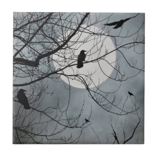 天鳥陶瓦 タイル