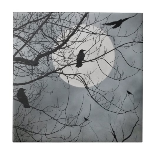 天鳥陶瓦 タイル (正面)