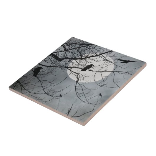 天鳥陶瓦 タイル (側面)