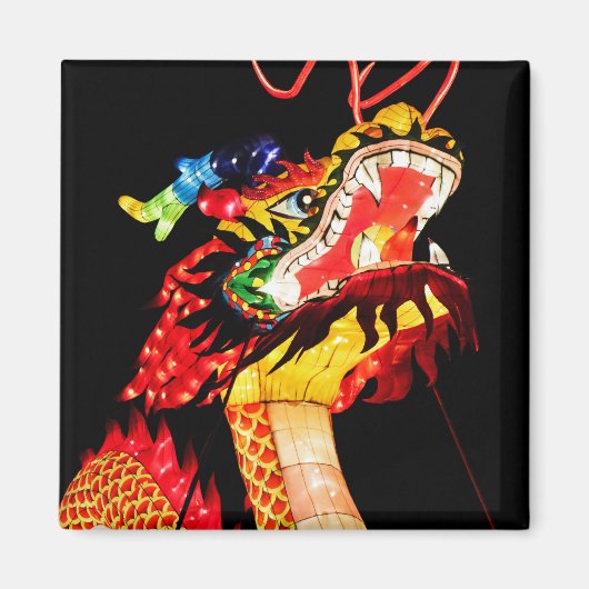 天龍 マグネット (正面)