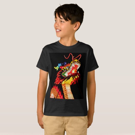 天龍 Tシャツ (正面フル)