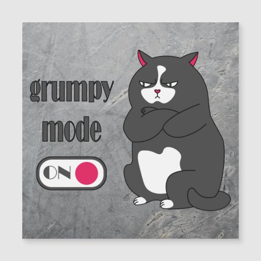 太い猫の磁気カードおもしろいの不機嫌なモード (正面)