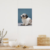 太い眼鏡をかけている子犬 ポスター (キッチン)