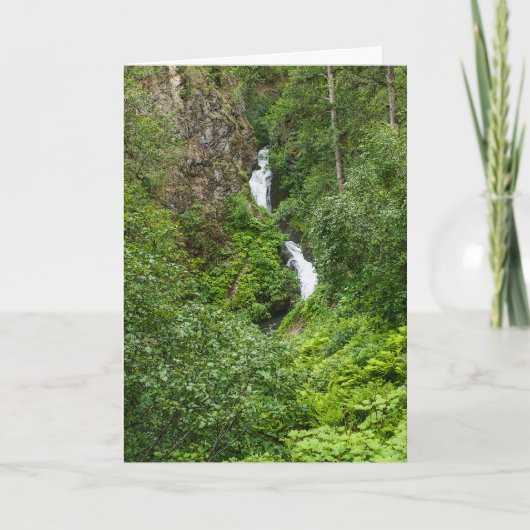 太ったサンダーバード カード (正面)