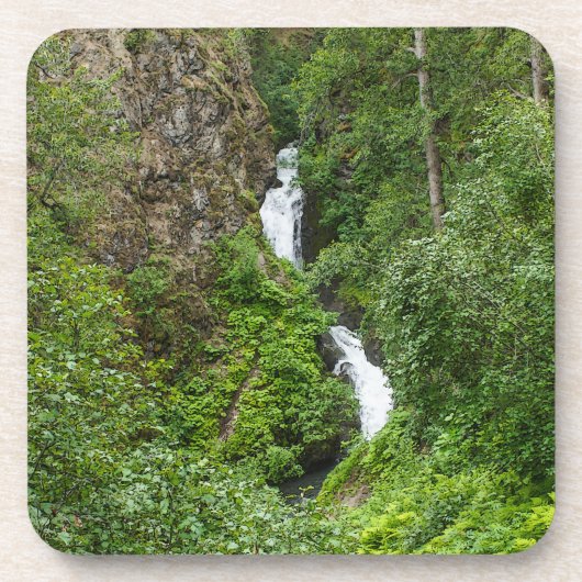 太ったサンダーバード コースター (正面)