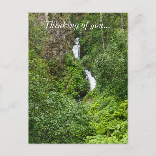 太ったサンダーバード ポストカード (正面)