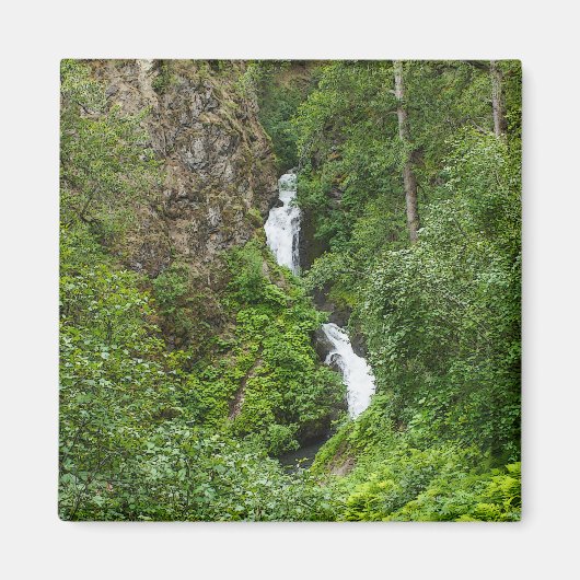 太ったサンダーバード マグネット (正面)