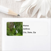 太ったサンダーバード ラベル (インサイチュ)