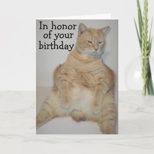 太ったマン島猫がおかしなポーズで座っている 誕生日カード カード (正面)