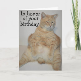 太ったマン島猫がおかしなポーズで座っている 誕生日カード カード