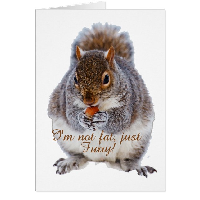 太ったリス (正面)