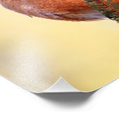 太ったロビン フォトプリント            (角)