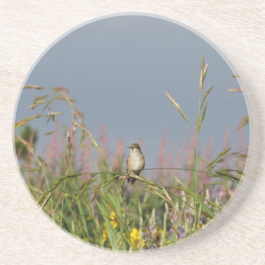 太った小さなハチドリ コースター (正面)